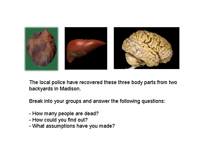 The local police have recovered these three body parts from two backyards in Madison.