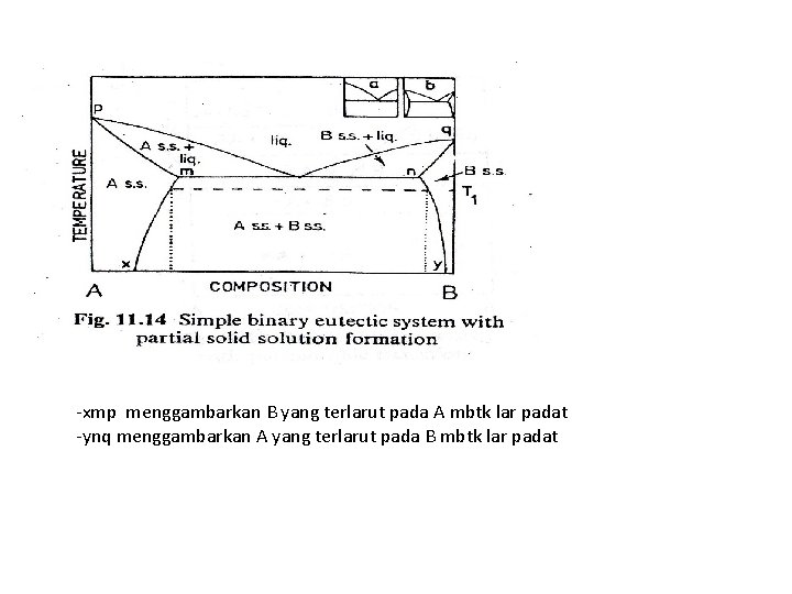 -xmp menggambarkan B yang terlarut pada A mbtk lar padat -ynq menggambarkan A yang