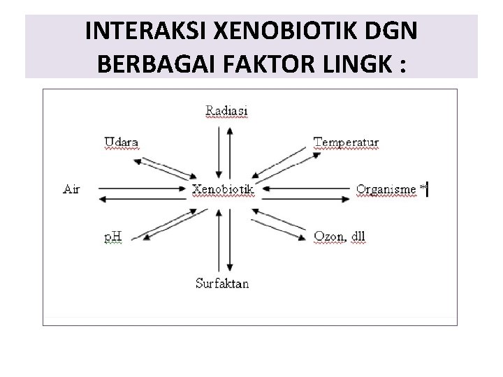 INTERAKSI XENOBIOTIK DGN BERBAGAI FAKTOR LINGK : 