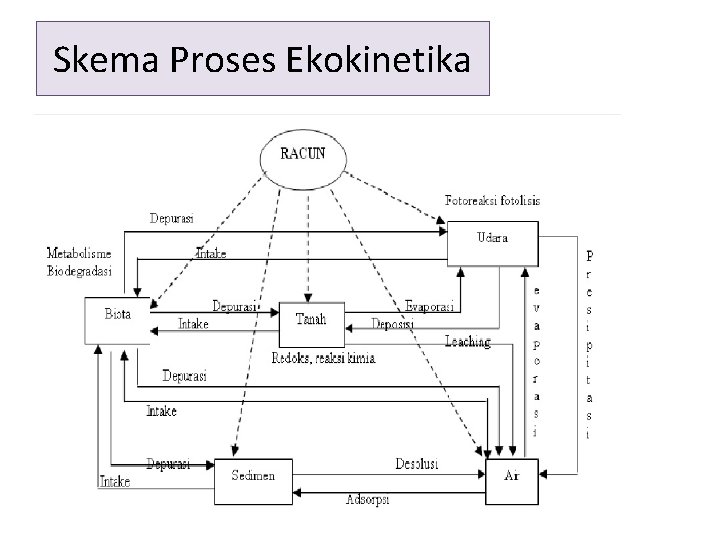 Skema Proses Ekokinetika 