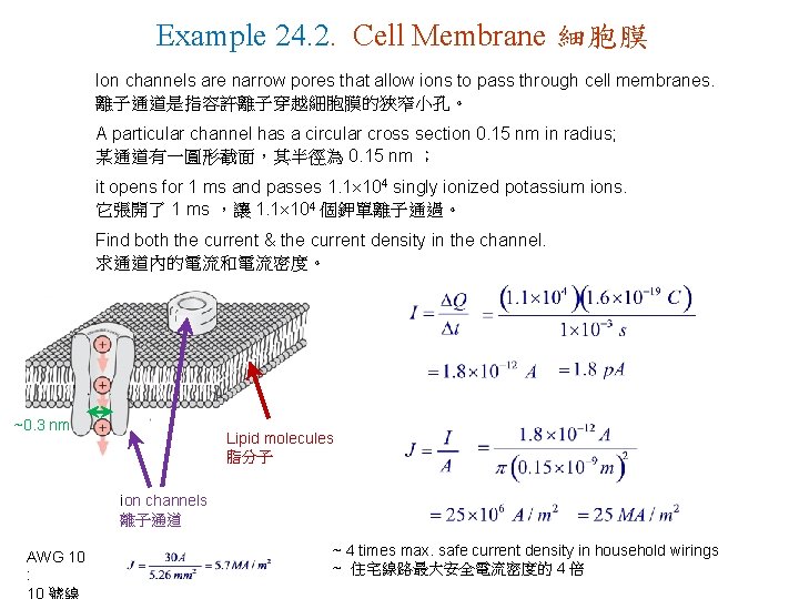 Example 24. 2. Cell Membrane 細胞膜 Ion channels are narrow pores that allow ions