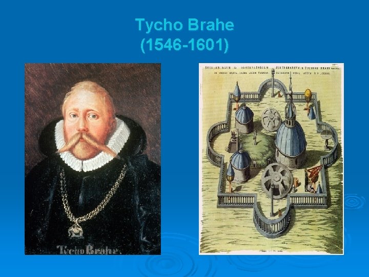 Tycho Brahe (1546 -1601) 