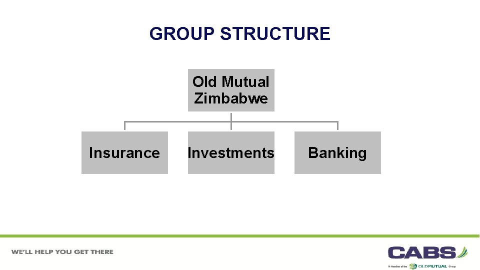 GROUP STRUCTURE Old Mutual Zimbabwe Insurance Investments Banking 