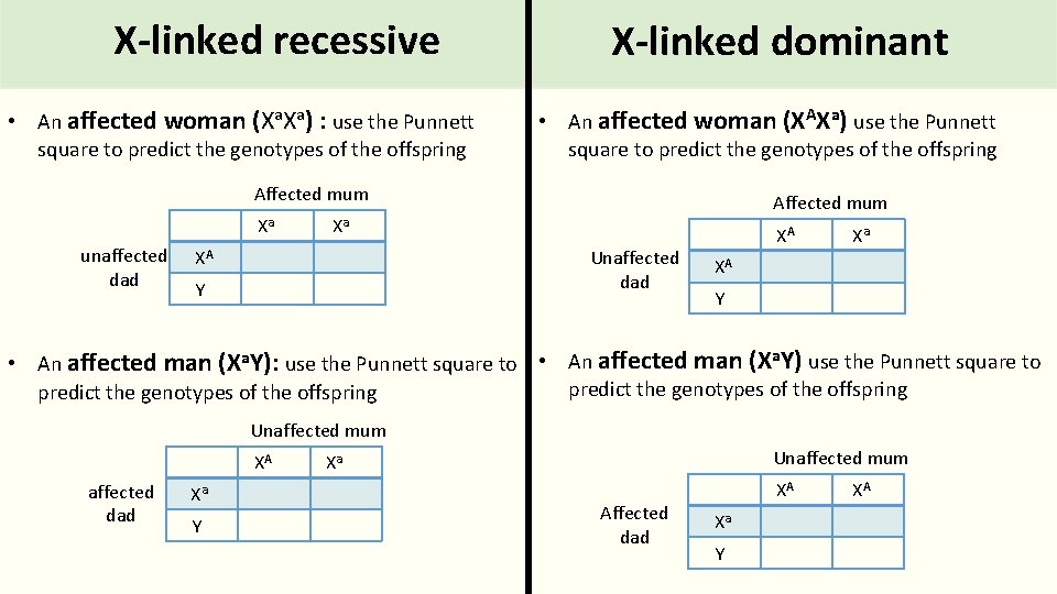 X-linked recessive • An affected woman (Xa. Xa) : use the Punnett square to