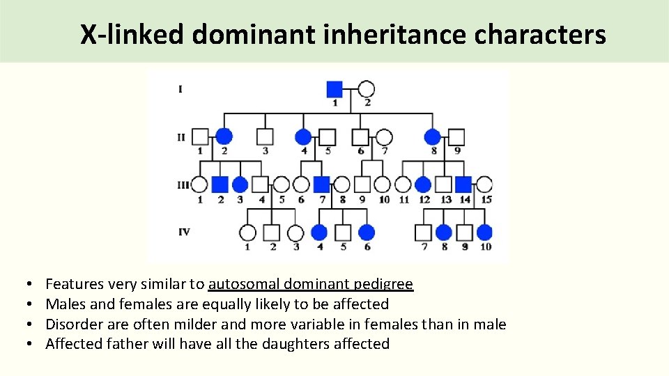 X-linked dominant inheritance characters • • Features very similar to autosomal dominant pedigree Males