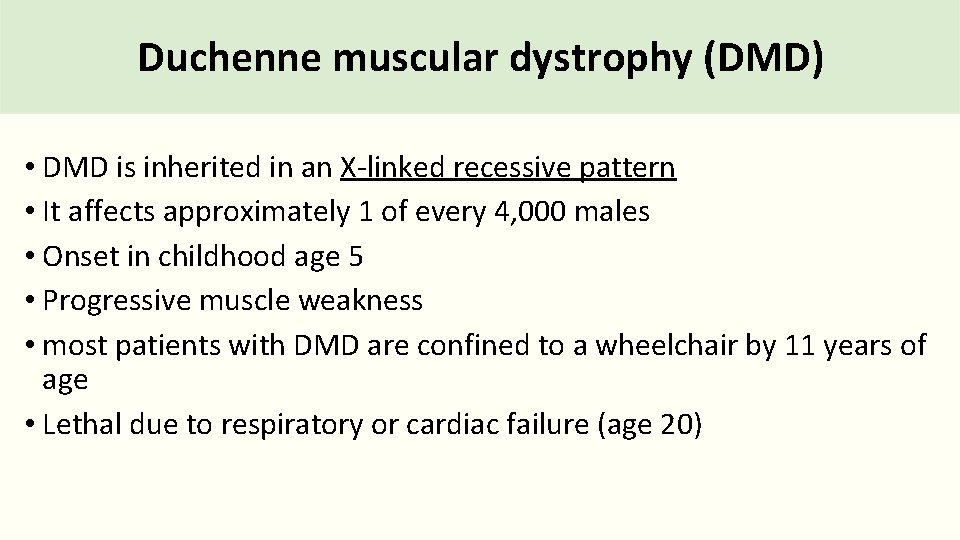 Duchenne muscular dystrophy (DMD) • DMD is inherited in an X-linked recessive pattern •