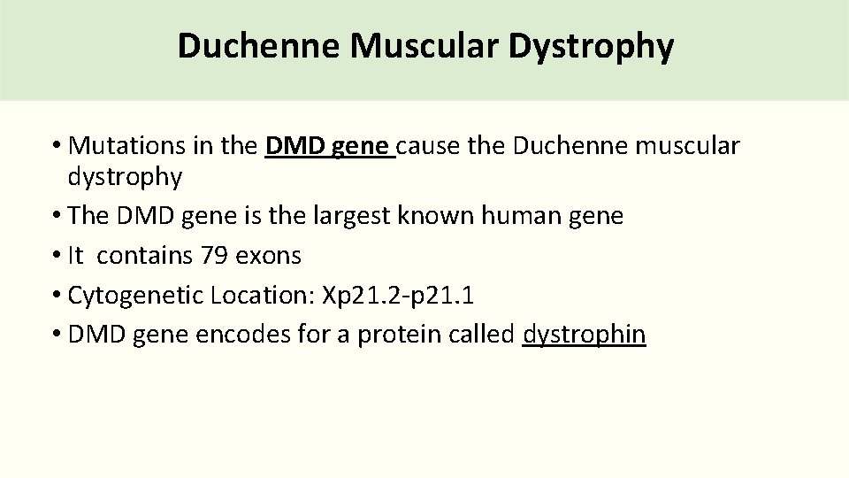 Duchenne Muscular Dystrophy • Mutations in the DMD gene cause the Duchenne muscular dystrophy