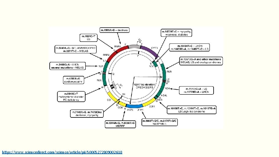 https: //www. sciencedirect. com/science/article/pii/S 0005272809002618 