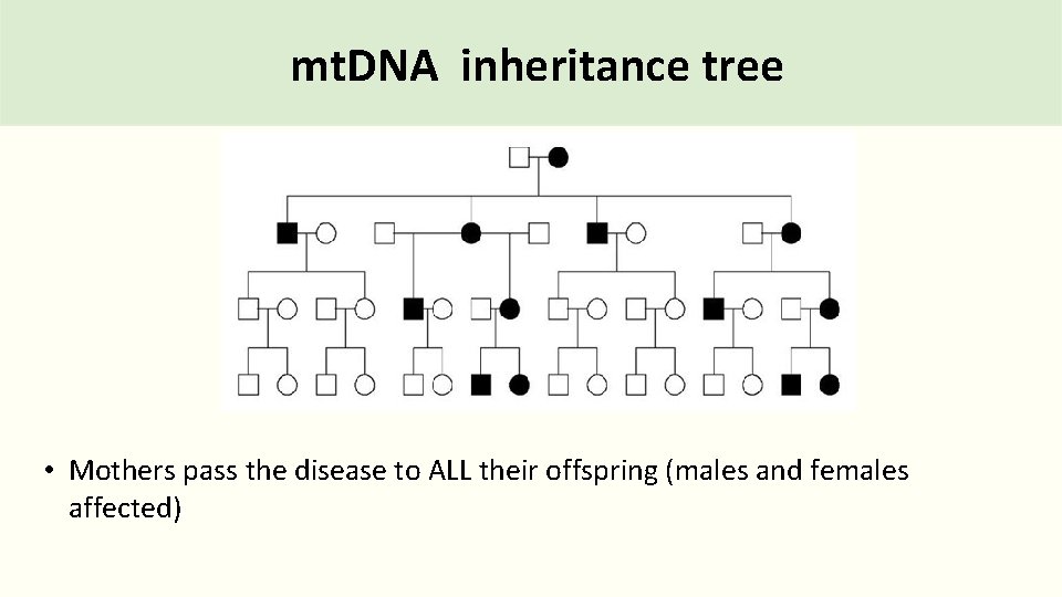 mt. DNA inheritance tree • Mothers pass the disease to ALL their offspring (males