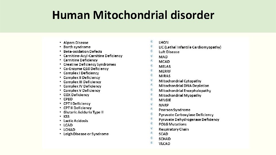 Human Mitochondrial disorder 