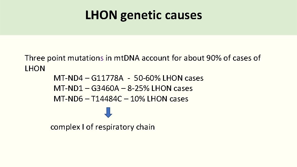 LHON genetic causes Three point mutations in mt. DNA account for about 90% of