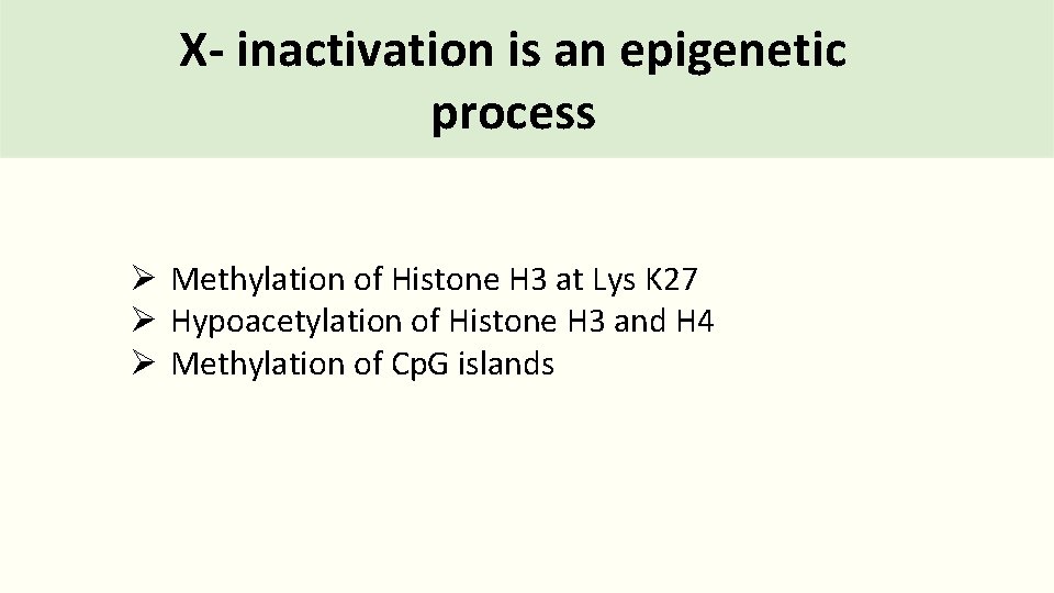 X- inactivation is an epigenetic process Ø Methylation of Histone H 3 at Lys