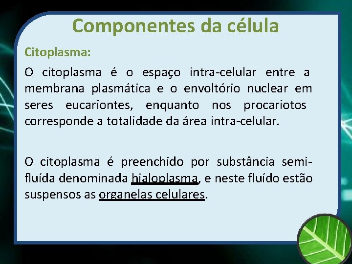 Componentes da célula Citoplasma: O citoplasma é o espaço intra-celular entre a membrana plasmática