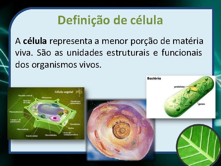 Definição de célula A célula representa a menor porção de matéria viva. São as