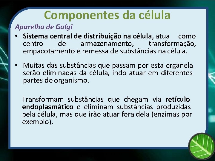 Componentes da célula Aparelho de Golgi • Sistema central de distribuição na célula, atua