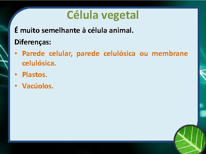 Célula vegetal É muito semelhante à célula animal. Diferenças: • Parede celular, parede celulósica