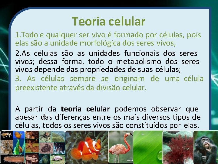 Teoria celular 1. Todo e qualquer ser vivo é formado por células, pois elas