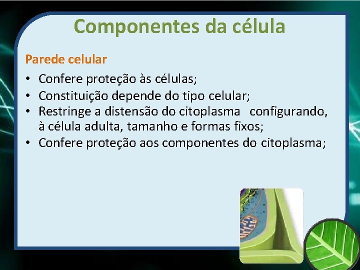 Componentes da célula Parede celular • Confere proteção às células; • Constituição depende do