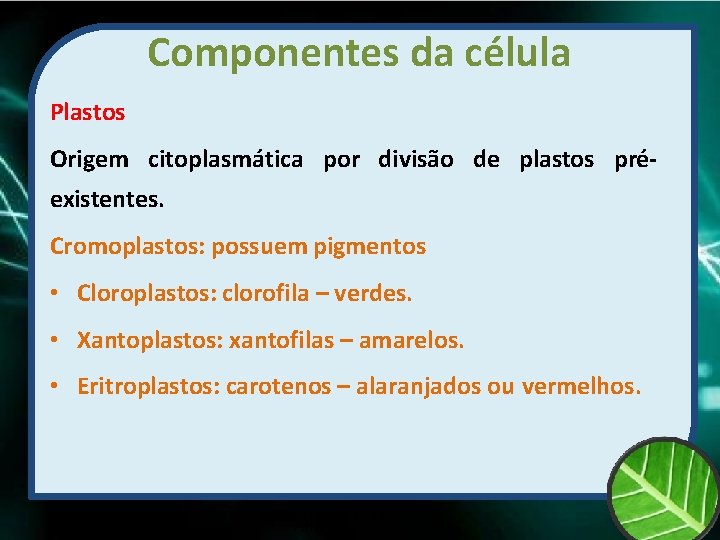 Componentes da célula Plastos Origem citoplasmática por divisão de plastos préexistentes. Cromoplastos: possuem pigmentos