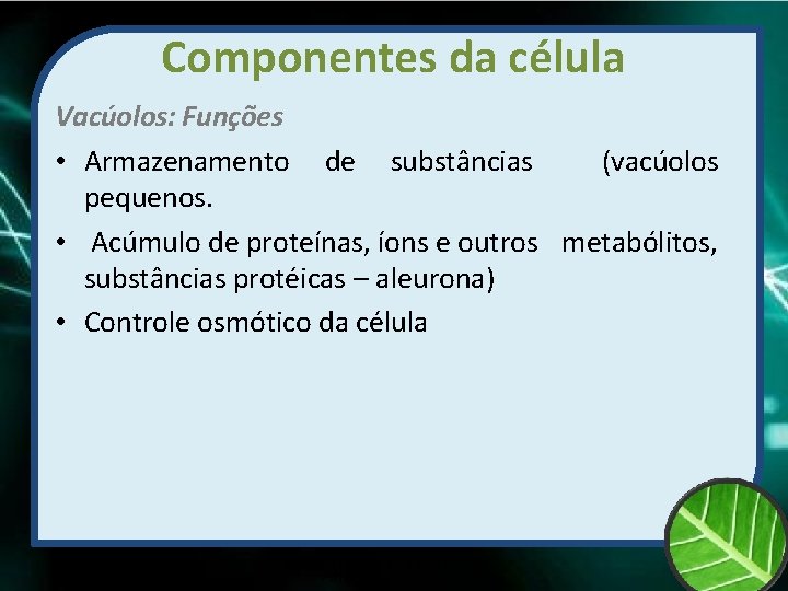Componentes da célula Vacúolos: Funções • Armazenamento de substâncias (vacúolos pequenos. • Acúmulo de