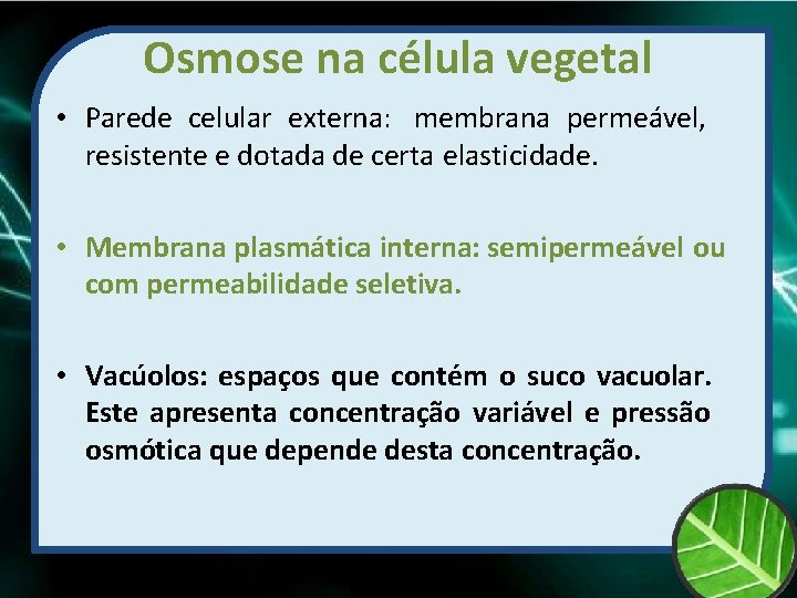 Osmose na célula vegetal • Parede celular externa: membrana permeável, resistente e dotada de