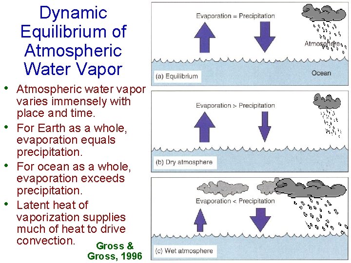 Dynamic Equilibrium of Atmospheric Water Vapor • • Atmospheric water vapor varies immensely with