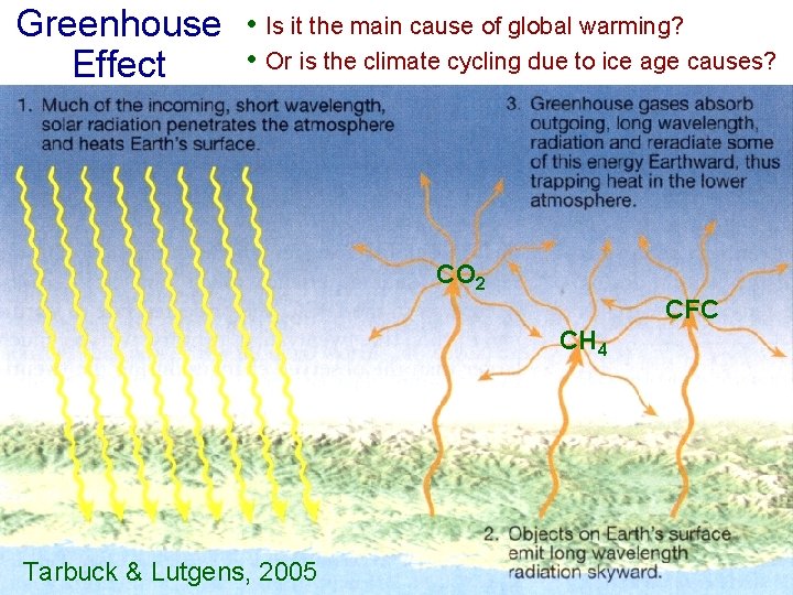 Greenhouse • Is it the main cause of global warming? • Or is the