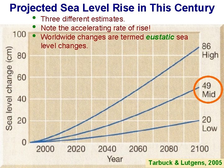 Projected Sea Level Rise in This Century • • • Three different estimates. Note