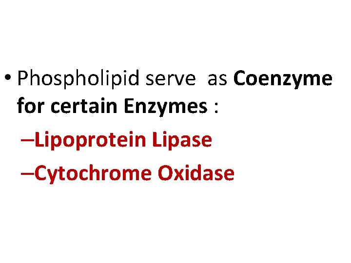  • Phospholipid serve as Coenzyme for certain Enzymes : –Lipoprotein Lipase –Cytochrome Oxidase