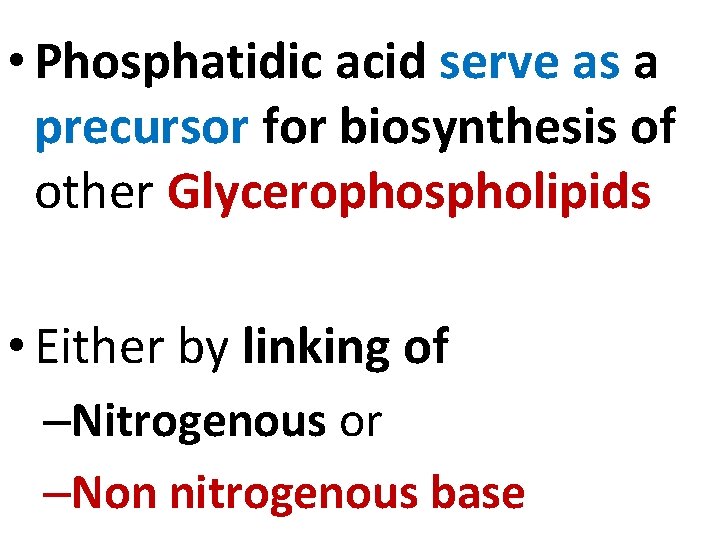  • Phosphatidic acid serve as a precursor for biosynthesis of other Glycerophospholipids •