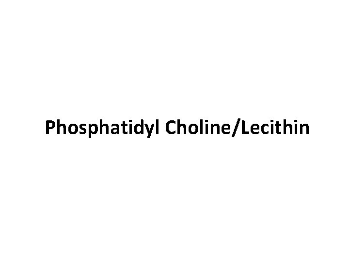 Phosphatidyl Choline/Lecithin 