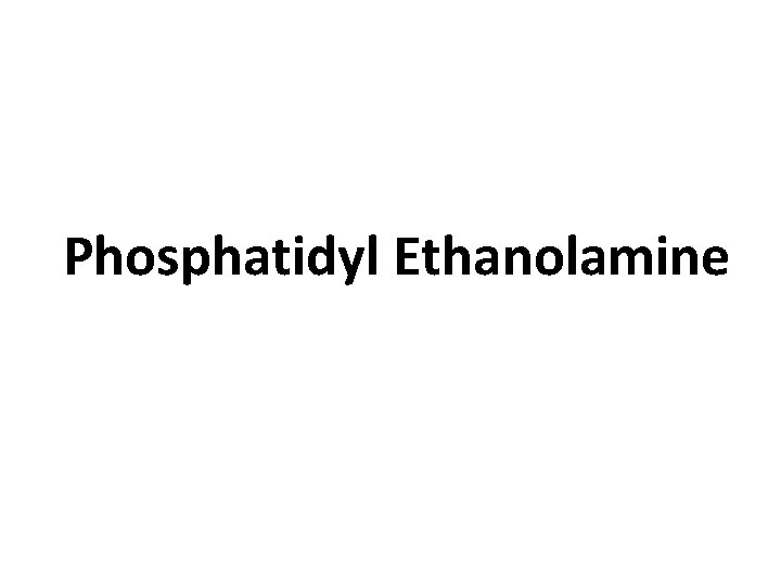 Phosphatidyl Ethanolamine 
