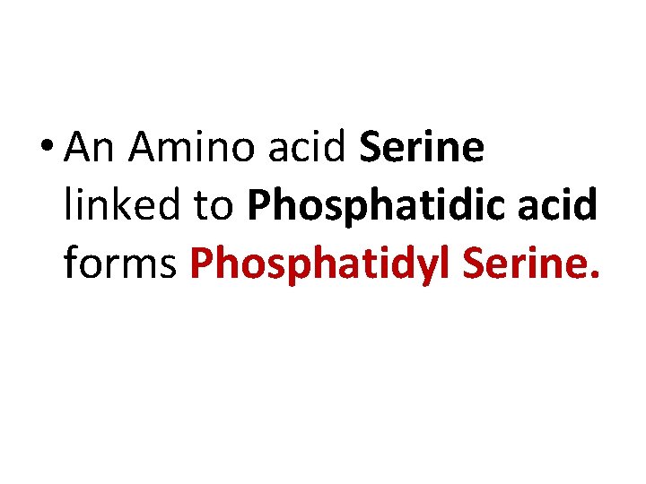  • An Amino acid Serine linked to Phosphatidic acid forms Phosphatidyl Serine. 