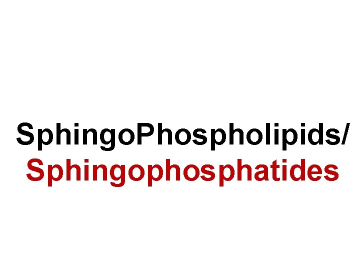 Sphingo. Phospholipids/ Sphingophosphatides 