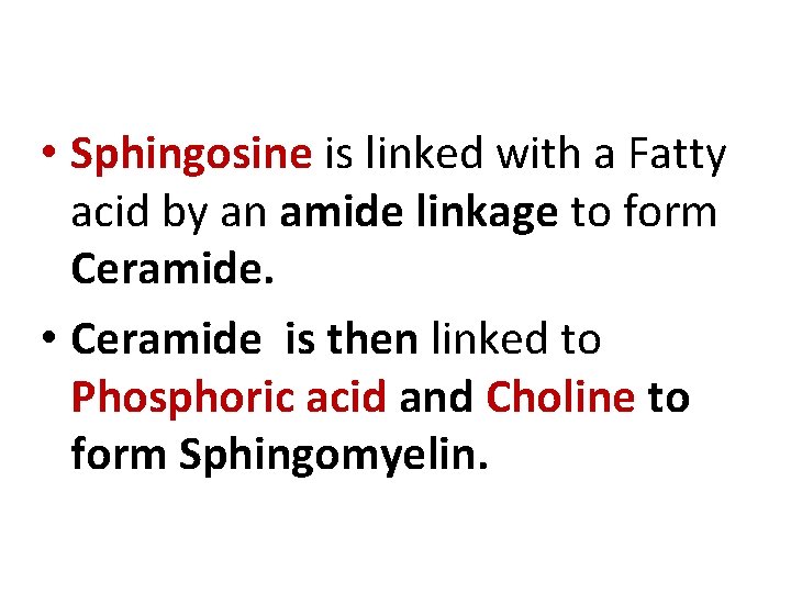  • Sphingosine is linked with a Fatty acid by an amide linkage to