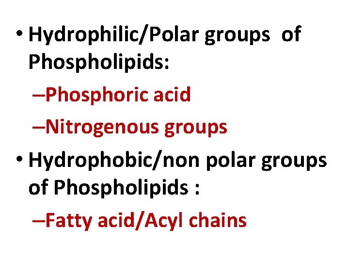  • Hydrophilic/Polar groups of Phospholipids: –Phosphoric acid –Nitrogenous groups • Hydrophobic/non polar groups