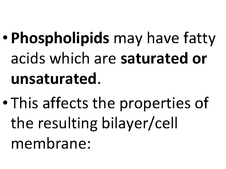  • Phospholipids may have fatty acids which are saturated or unsaturated. • This