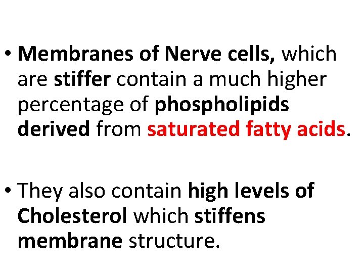  • Membranes of Nerve cells, which are stiffer contain a much higher percentage