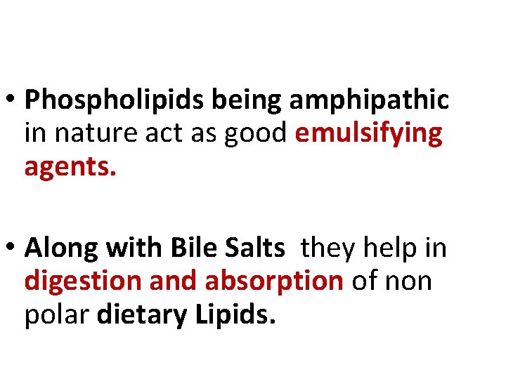  • Phospholipids being amphipathic in nature act as good emulsifying agents. • Along