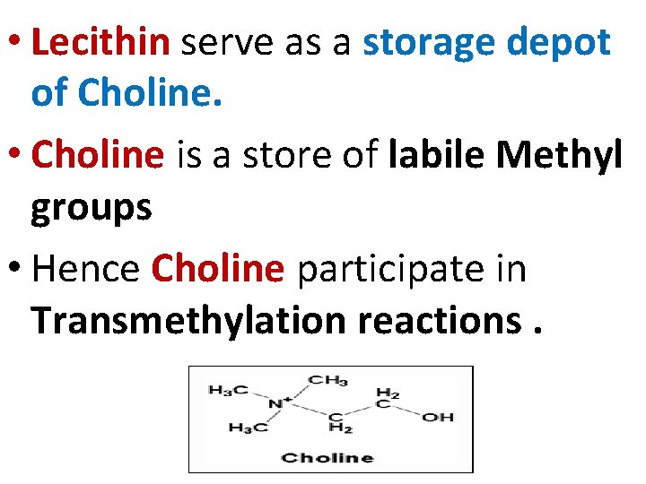  • Lecithin serve as a storage depot of Choline. • Choline is a