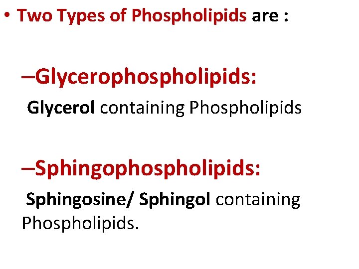  • Two Types of Phospholipids are : –Glycerophospholipids: Glycerol containing Phospholipids –Sphingophospholipids: Sphingosine/