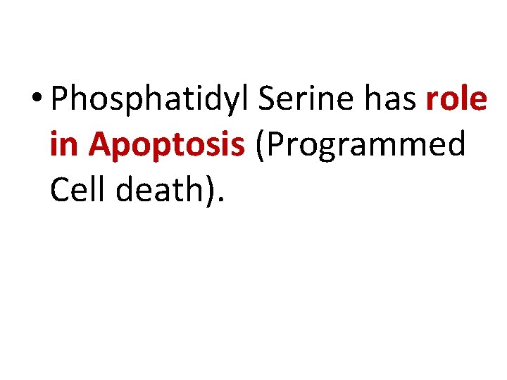  • Phosphatidyl Serine has role in Apoptosis (Programmed Cell death). 