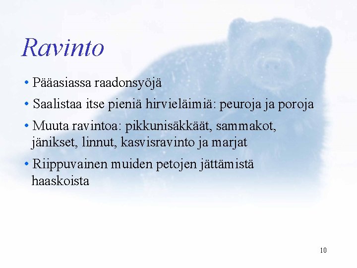 Ravinto • Pääasiassa raadonsyöjä • Saalistaa itse pieniä hirvieläimiä: peuroja ja poroja • Muuta