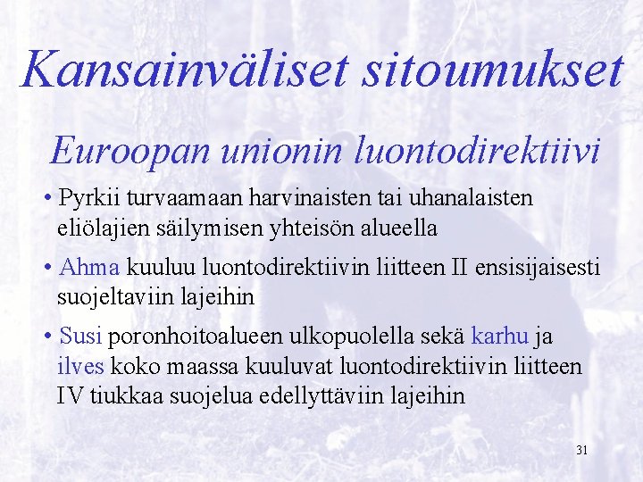 Kansainväliset sitoumukset Euroopan unionin luontodirektiivi • Pyrkii turvaamaan harvinaisten tai uhanalaisten eliölajien säilymisen yhteisön