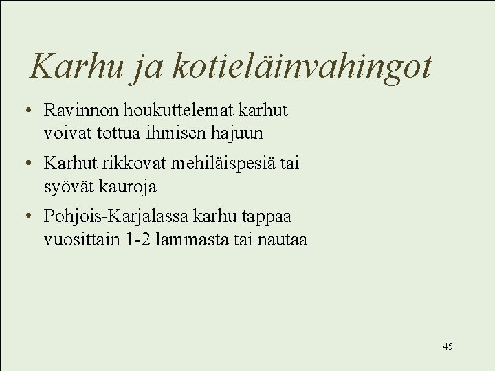 Karhu ja kotieläinvahingot • Ravinnon houkuttelemat karhut voivat tottua ihmisen hajuun • Karhut rikkovat