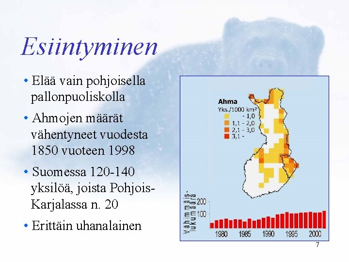 Esiintyminen • Elää vain pohjoisella pallonpuoliskolla • Ahmojen määrät vähentyneet vuodesta 1850 vuoteen 1998