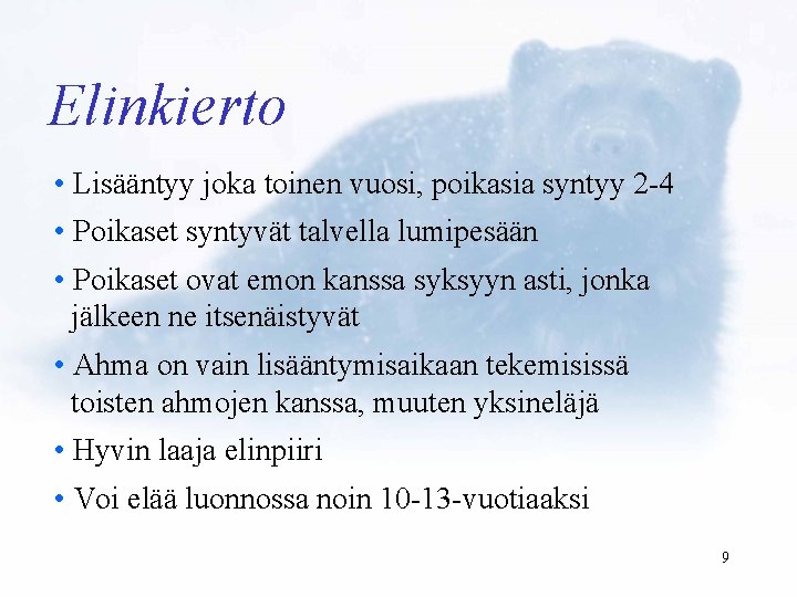 Elinkierto • Lisääntyy joka toinen vuosi, poikasia syntyy 2 -4 • Poikaset syntyvät talvella