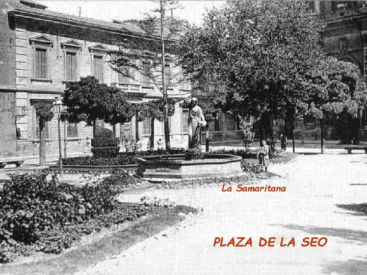 La Samaritana PLAZA DE LA SEO 