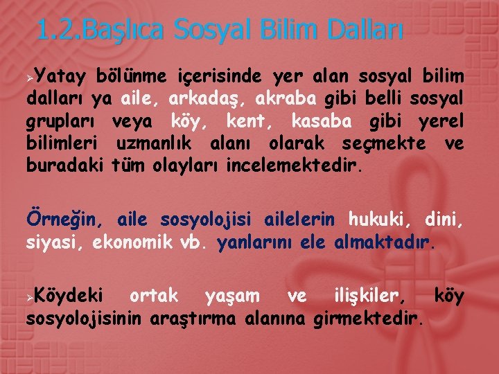 1. 2. Başlıca Sosyal Bilim Dalları Yatay bölünme içerisinde yer alan sosyal bilim dalları