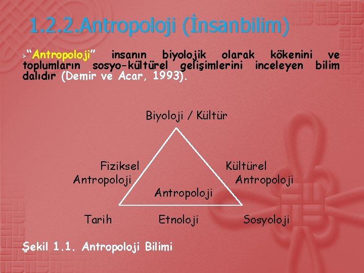 1. 2. 2. Antropoloji (İnsanbilim) “Antropoloji” insanın biyolojik olarak kökenini ve toplumların sosyo-kültürel gelişimlerini